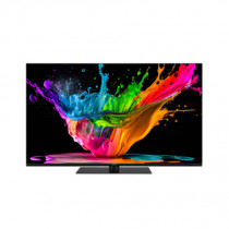 Panasonic TX-48MZ800E TV 48 Pollici 4K Ultra HD Smart TV Wi-Fi Nero